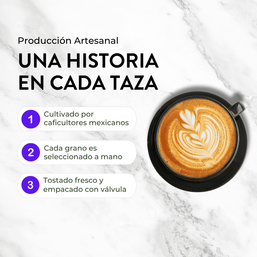 FRIDA CAFÉ BOLSA DE 340GR