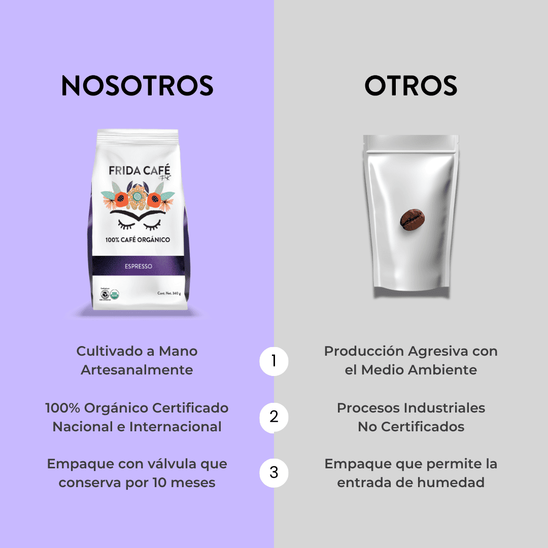 FRIDA CAFÉ BOLSA DE 340GR