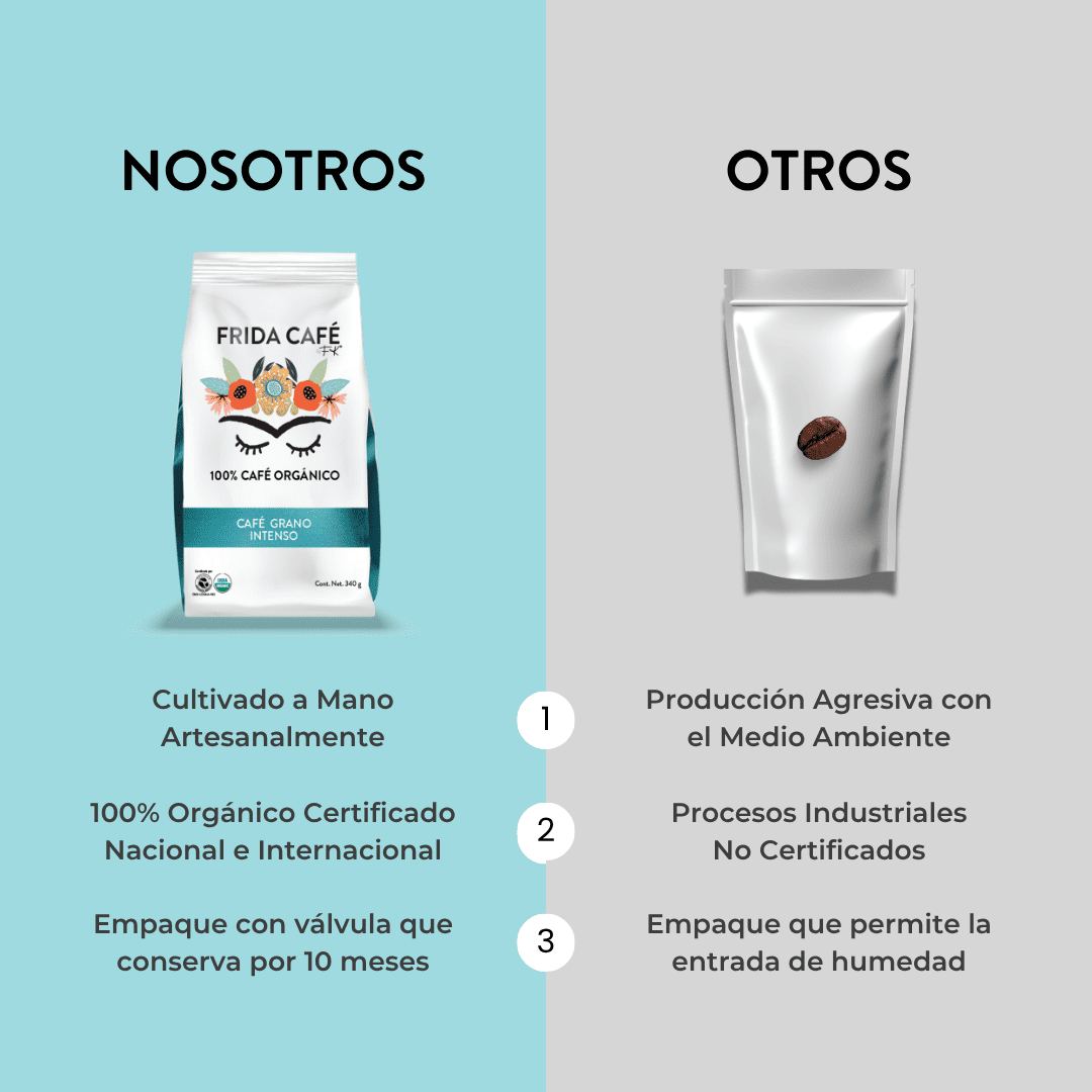 FRIDA CAFÉ BOLSA DE 340GR
