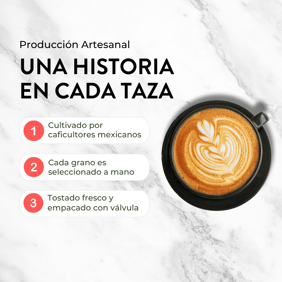 FRIDA CAFÉ BOLSA DE 340GR