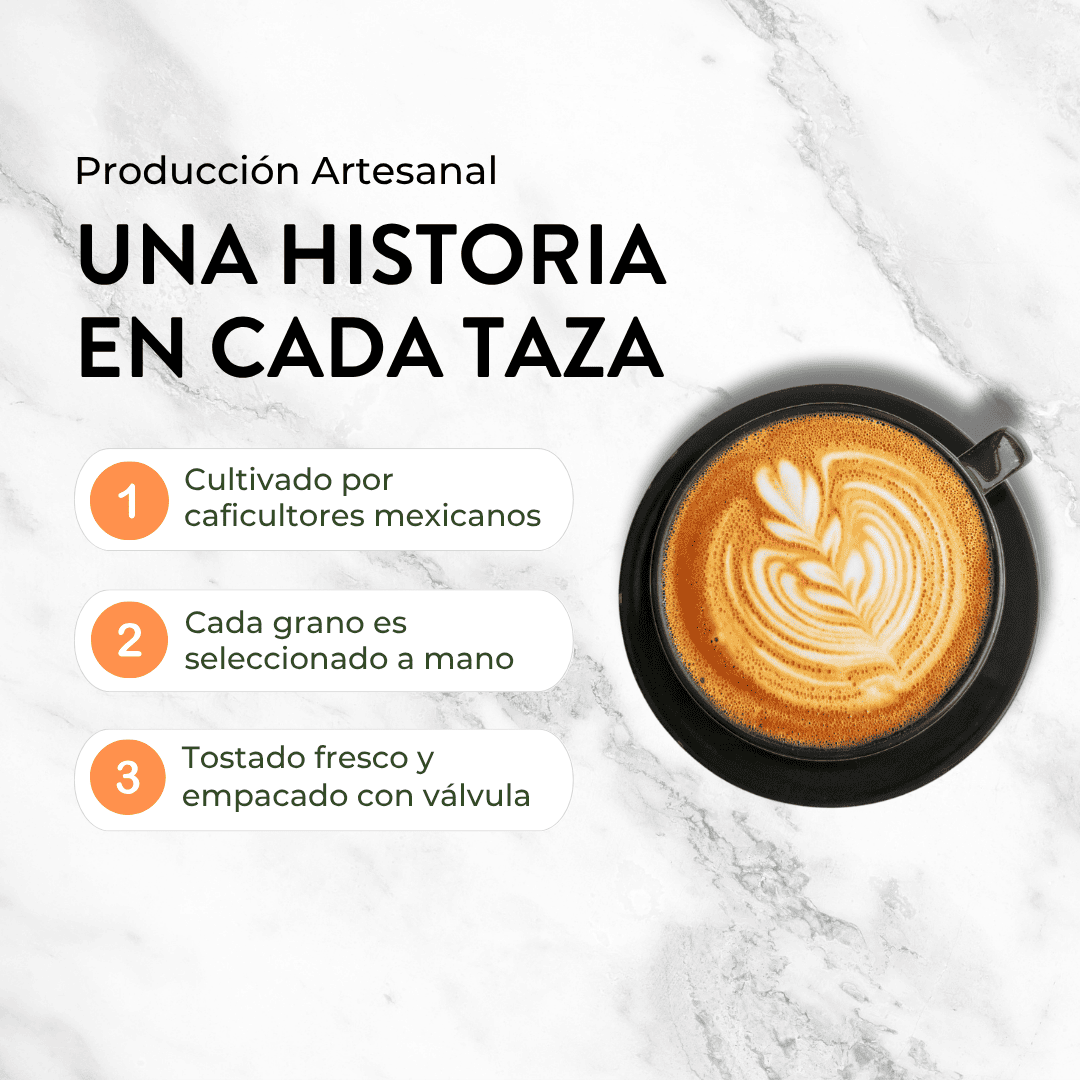 FRIDA CAFÉ BOLSA DE 340GR