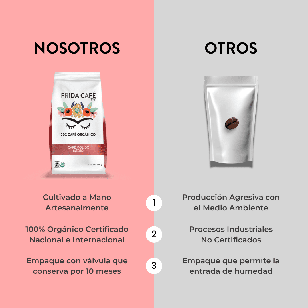 FRIDA CAFÉ BOLSA DE 340GR