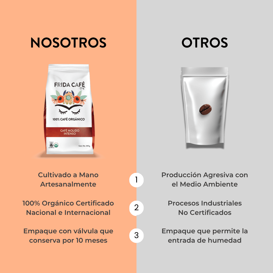 FRIDA CAFÉ BOLSA DE 340GR