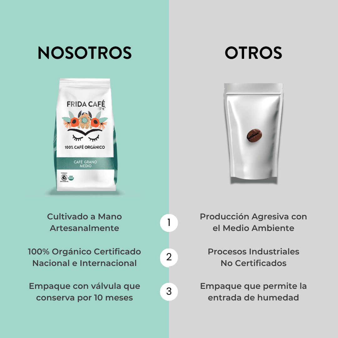 FRIDA CAFÉ BOLSA DE 340GR